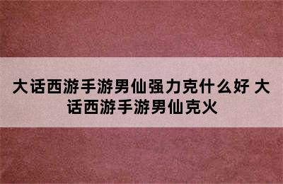 大话西游手游男仙强力克什么好 大话西游手游男仙克火